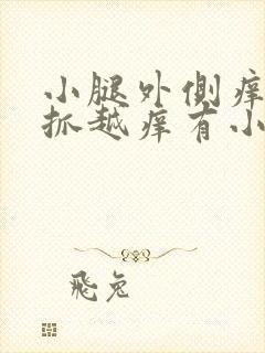 小腿外侧痒痒越抓越痒有小红疙瘩