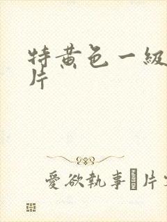 特黄色一级少妇片
