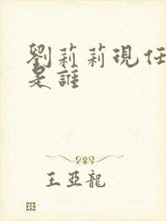 刘莉莉现任丈夫是谁