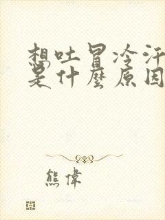 想吐冒冷汗头晕是什么原因