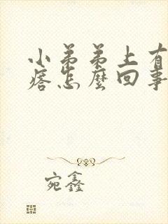 小弟弟上有个疙瘩怎么回事