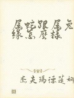 属蛇跟属兔的姻缘怎么样