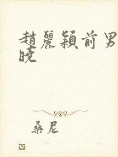 赵丽颖前男友陈晓