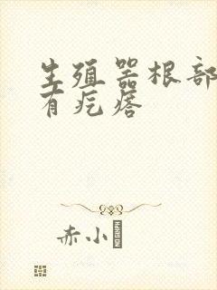 生殖器根部上方有疙瘩