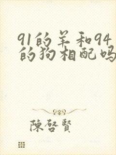91的羊和94的狗相配吗