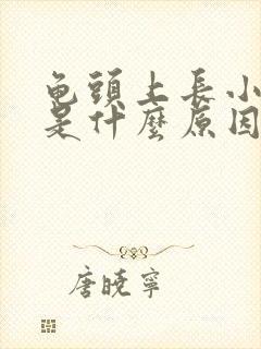 龟头上长小疙瘩是什么原因