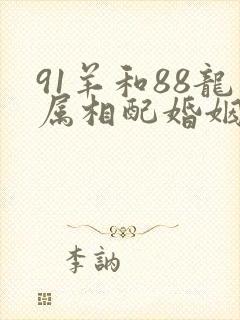 91羊和88龙属相配婚姻如何