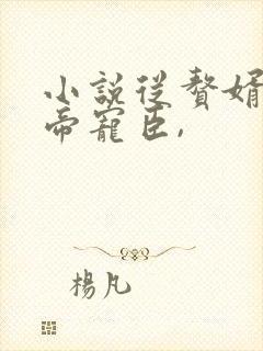 小说从赘婿到女帝宠臣,封面