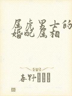 属虎男士的最佳婚配属相封面