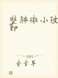 双肺微小玻璃结节封面