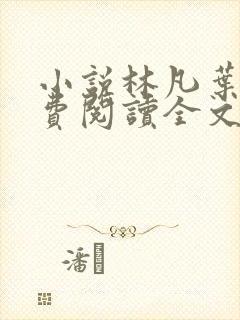 小说林凡叶惜免费阅读全文最新