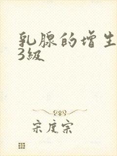 乳腺的增生结节3级