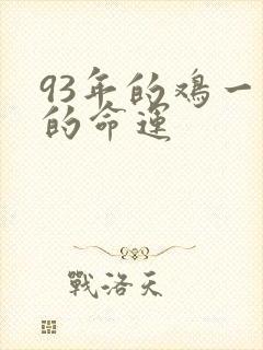 93年的鸡一生的命运