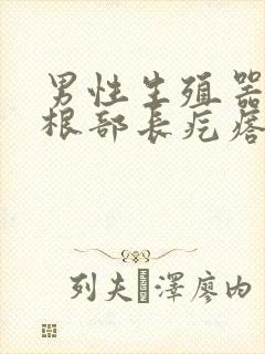 男性生殖器上面根部长疙瘩