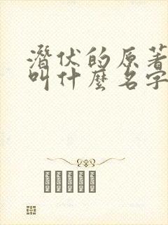 潜伏的原著小说叫什么名字