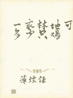 一亩林地可以养多少只鸡