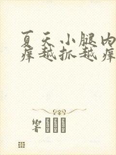 夏天小腿内侧痒痒越抓越痒有小红疙瘩