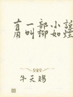 有一部小说女主角叫柳如烟