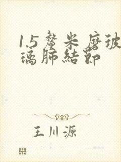 1.5厘米磨玻璃肺结节封面