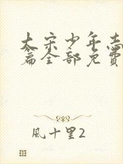 大宋少年志番外篇全部免费观看