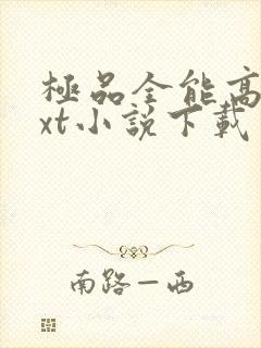 极品全能高手txt小说下载