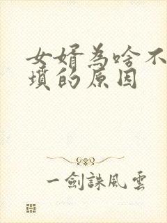 女婿为啥不能上坟的原因封面