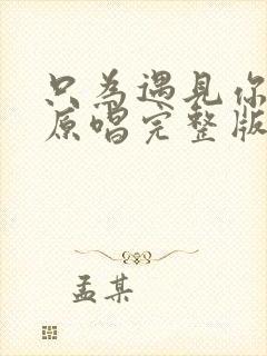 只为遇见你歌曲原唱完整版封面