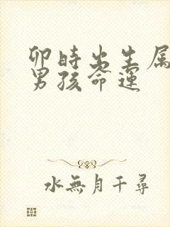 卯时出生属狗的男孩命运