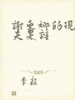 谢东娜的现任丈夫是谁