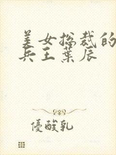 美女总裁的极品兵王叶辰