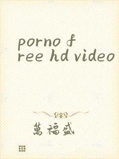 porno free hd video