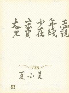 大宋少年志全集免费在线观看