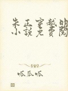 朱正穿越明朝的小说免费阅读封面