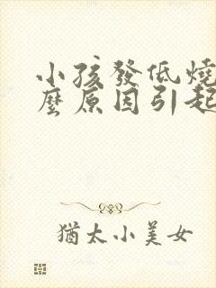 小孩发低烧是什么原因引起的封面