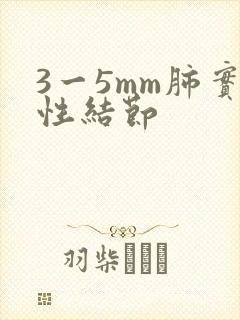 3一5mm肺实性结节封面
