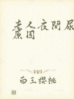 老人夜间尿频的原因