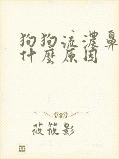 狗狗流浓鼻涕是什么原因