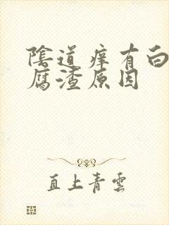 阴道痒有白色豆腐渣原因