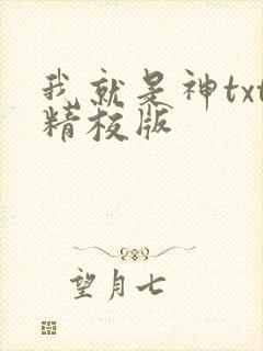 我就是神txt精校版