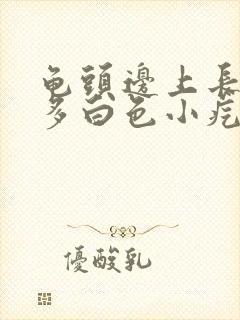 龟头边上长了好多白色小疙瘩