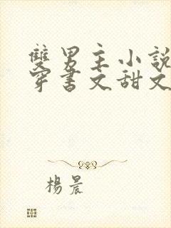 双男主小说推荐穿书文甜文