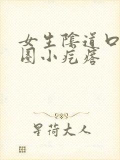 女生阴道口有一圈小疙瘩封面