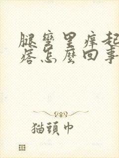 腿弯里痒起小疙瘩怎么回事封面