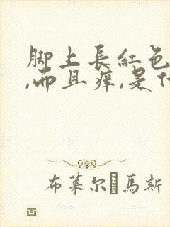 脚上长红色疙瘩,而且痒,是什么毛病