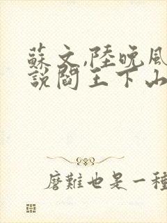 苏文,陆晚风小说阎王下山