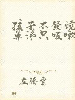 孩子不发烧不流鼻涕只咳嗽怎么回事