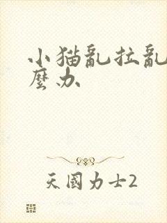 小猫乱拉乱尿怎么办