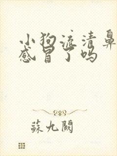 小狗流清鼻涕是感冒了吗