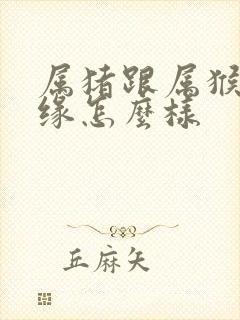 属猪跟属猴的姻缘怎么样封面