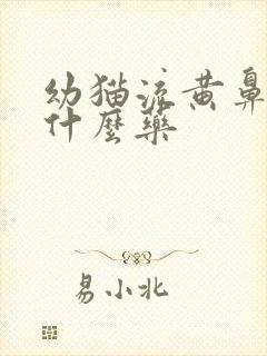 幼猫流黄鼻涕吃什么药